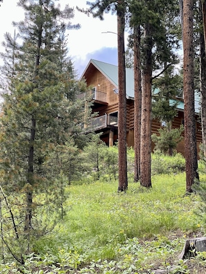 Escape to a serene forest retreat with a balcony overlooking the treetops.