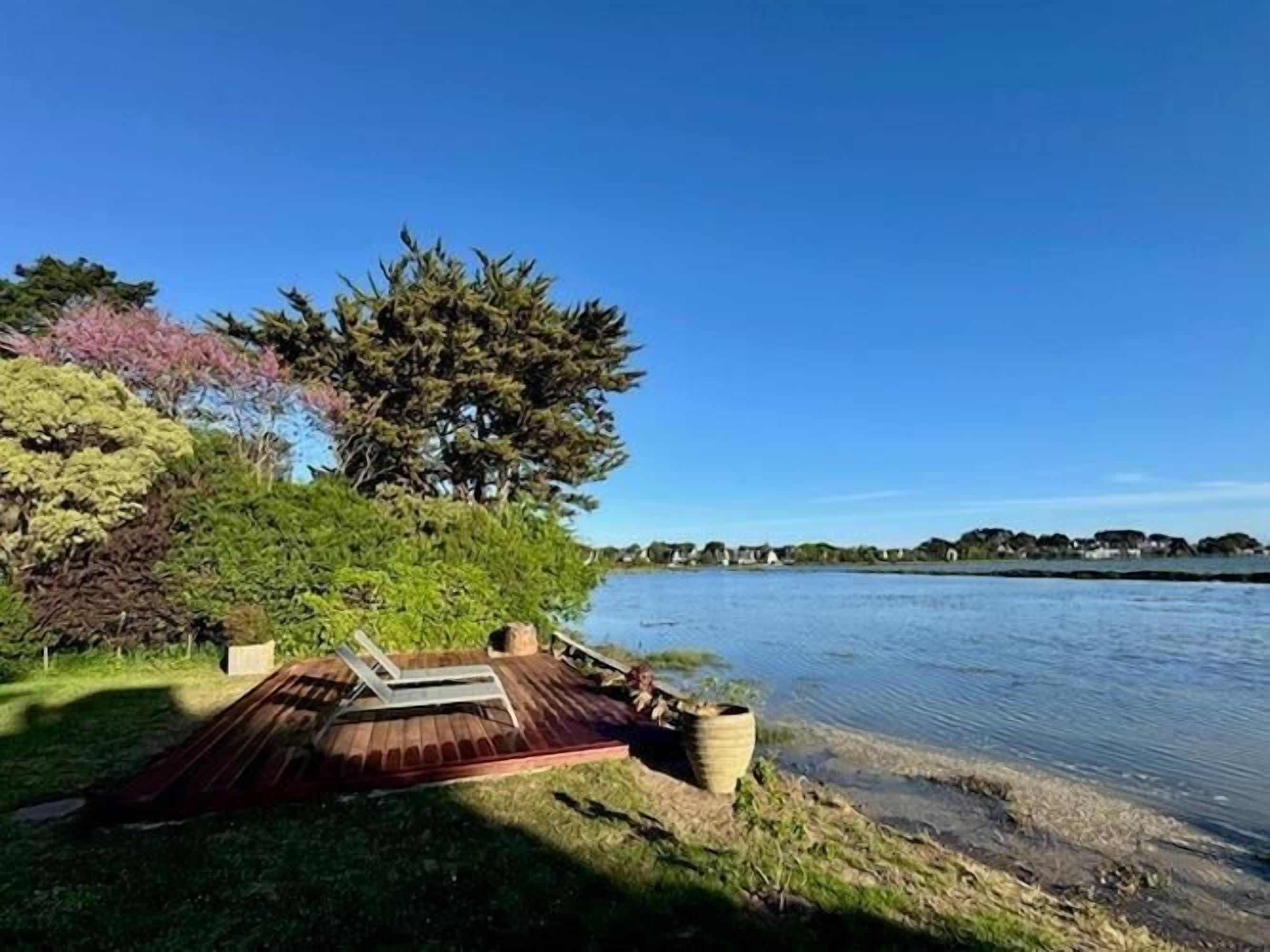 Terraza a la orilla del lago con sillones de descanso y una maceta grande, rodeada de abundante vegetación y un cielo azul despejado.