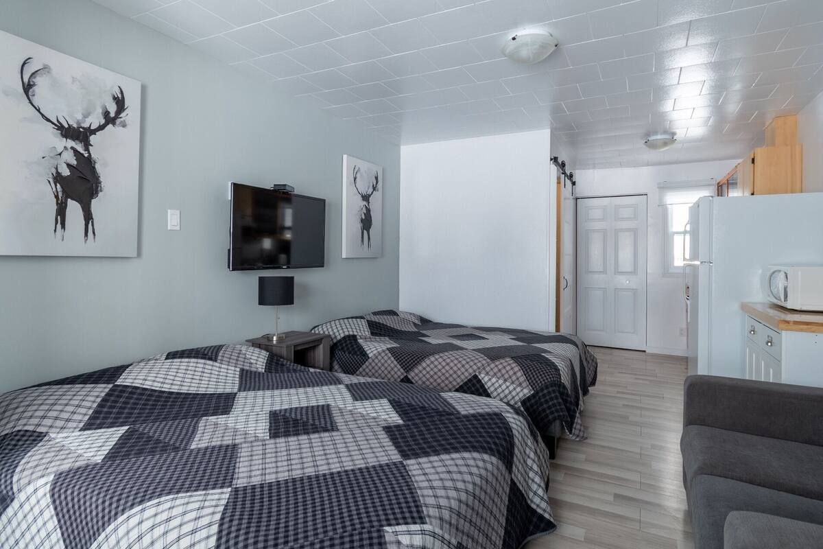 Una habitación moderna con dos camas y televisión de pantalla plana.