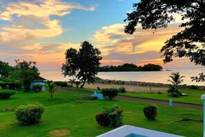 Property grounds - Beach Retreat! (Negril)