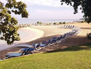Property grounds - Beach-Bums! (Westmoreland parish)
