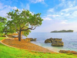 Beach - Beach-Bums! (Westmoreland parish)