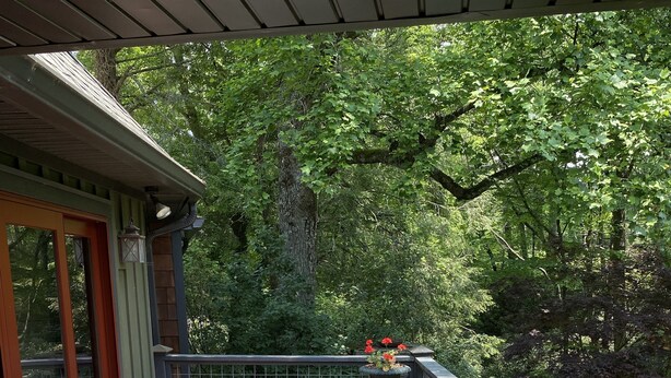 Een houten terras met buitenmeubilair, zoals stoelen en een tafel, met uitzicht op een weelderig groen bos.
