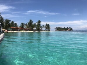A beachfront with clear turquoise water, palm trees, and a small island with buildings in the background. - Hotel El Porvenir (Narganá)