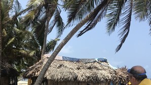 Un grupo de personas cenando al aire libre en una mesa de madera bajo un techo de paja, rodeado de palmeras y una playa al fondo.