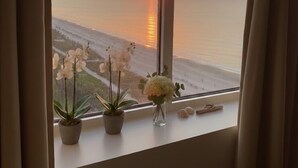 Una ventana con vista al atardecer sobre el océano, plantas en macetas en el alféizar, y una playa al fondo.