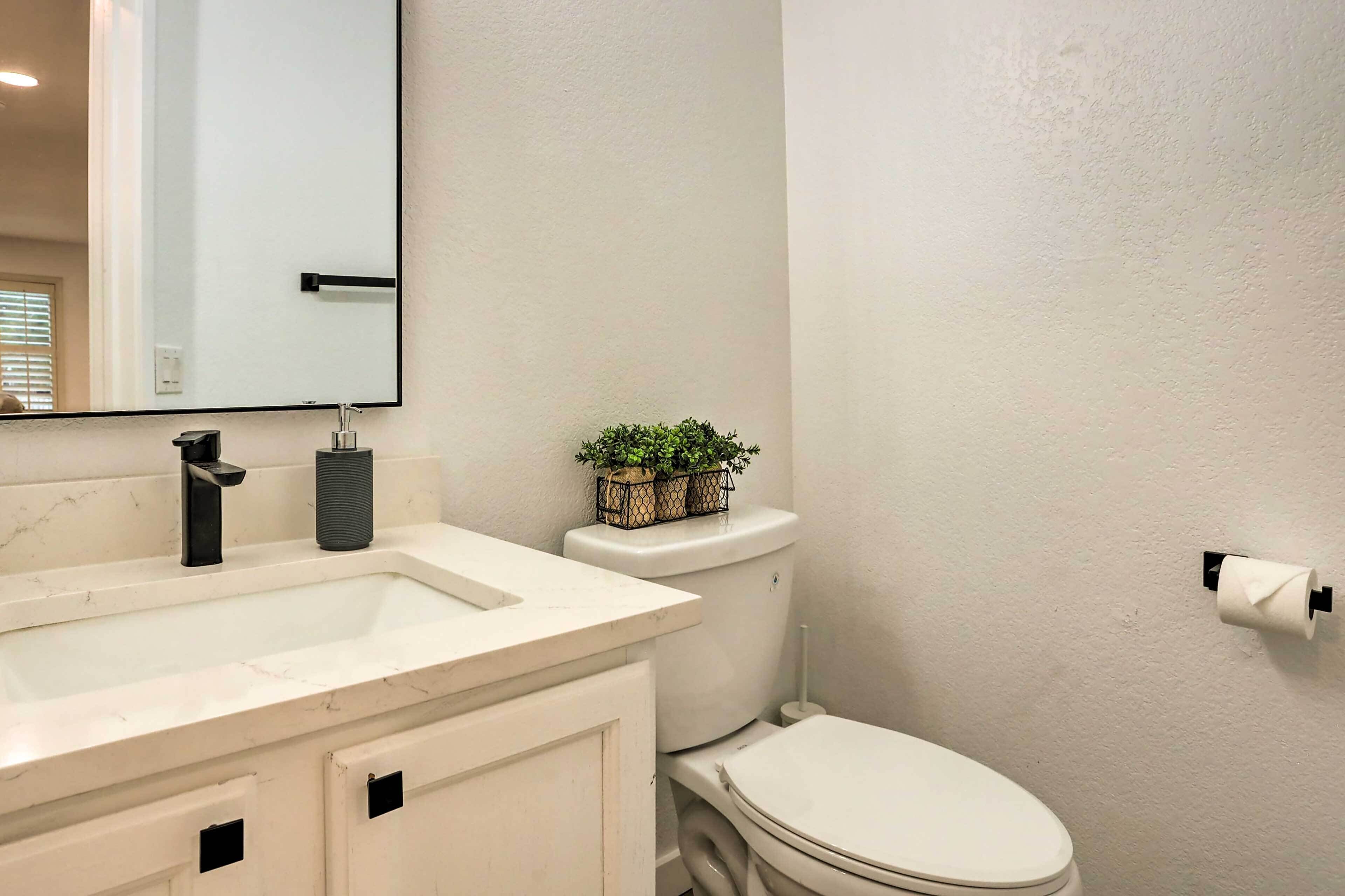 A bathroom with a white sink, black faucet, and a toilet with a white lid. There is a small plant on the toilet tank and a toilet paper holder on the wall.