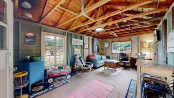 Smart TV, chimenea, libros