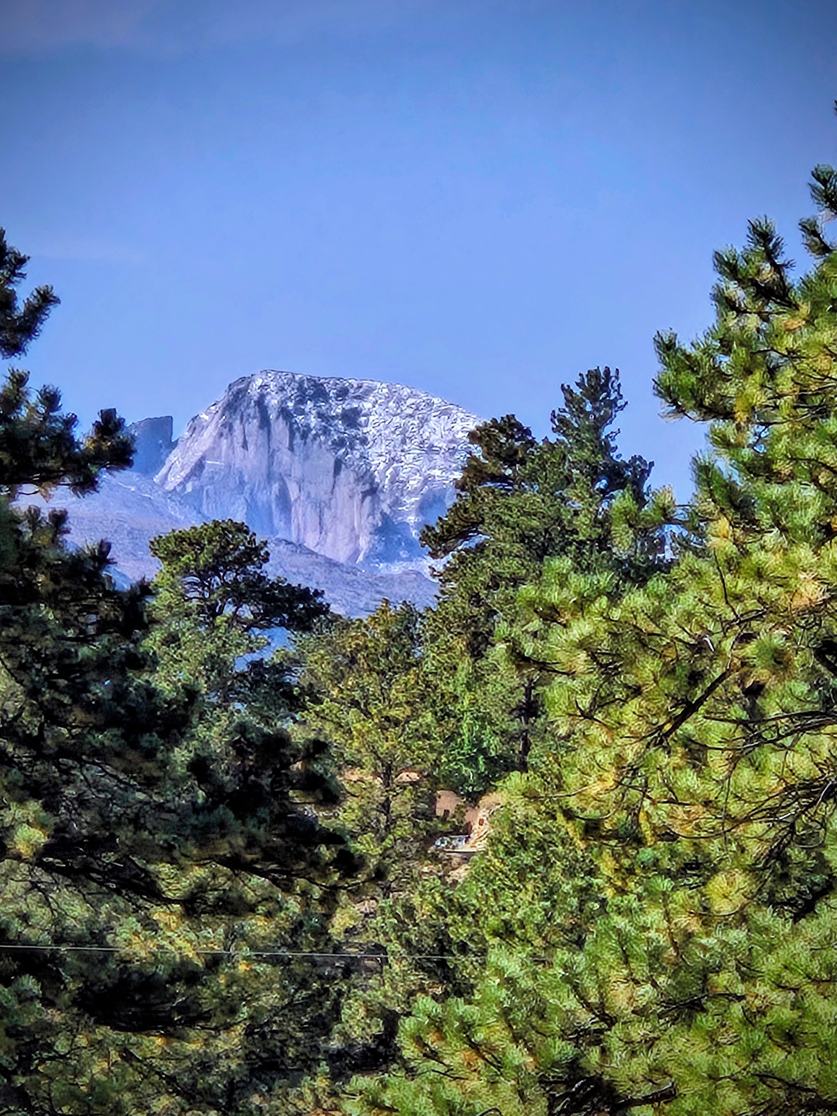 A mountain with a clear sky, surrounded by dense green trees.