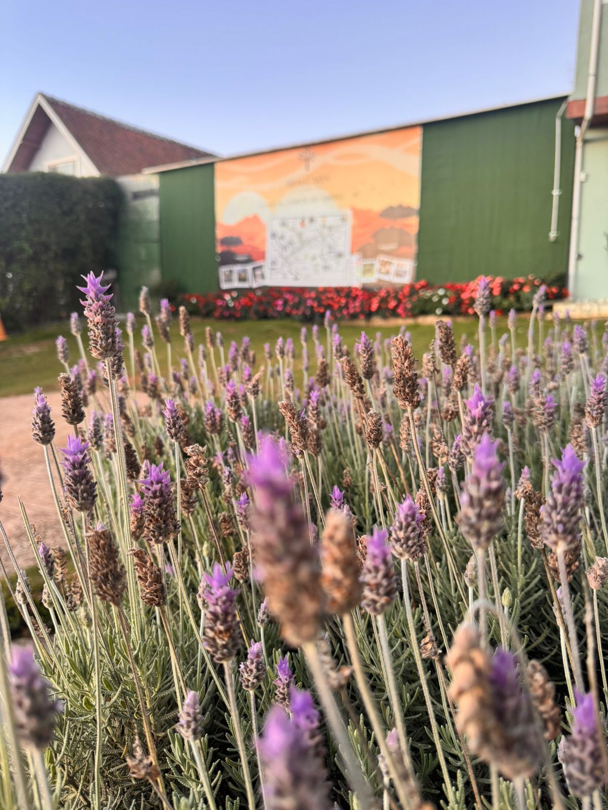 Photo - Pousada Araucária Village