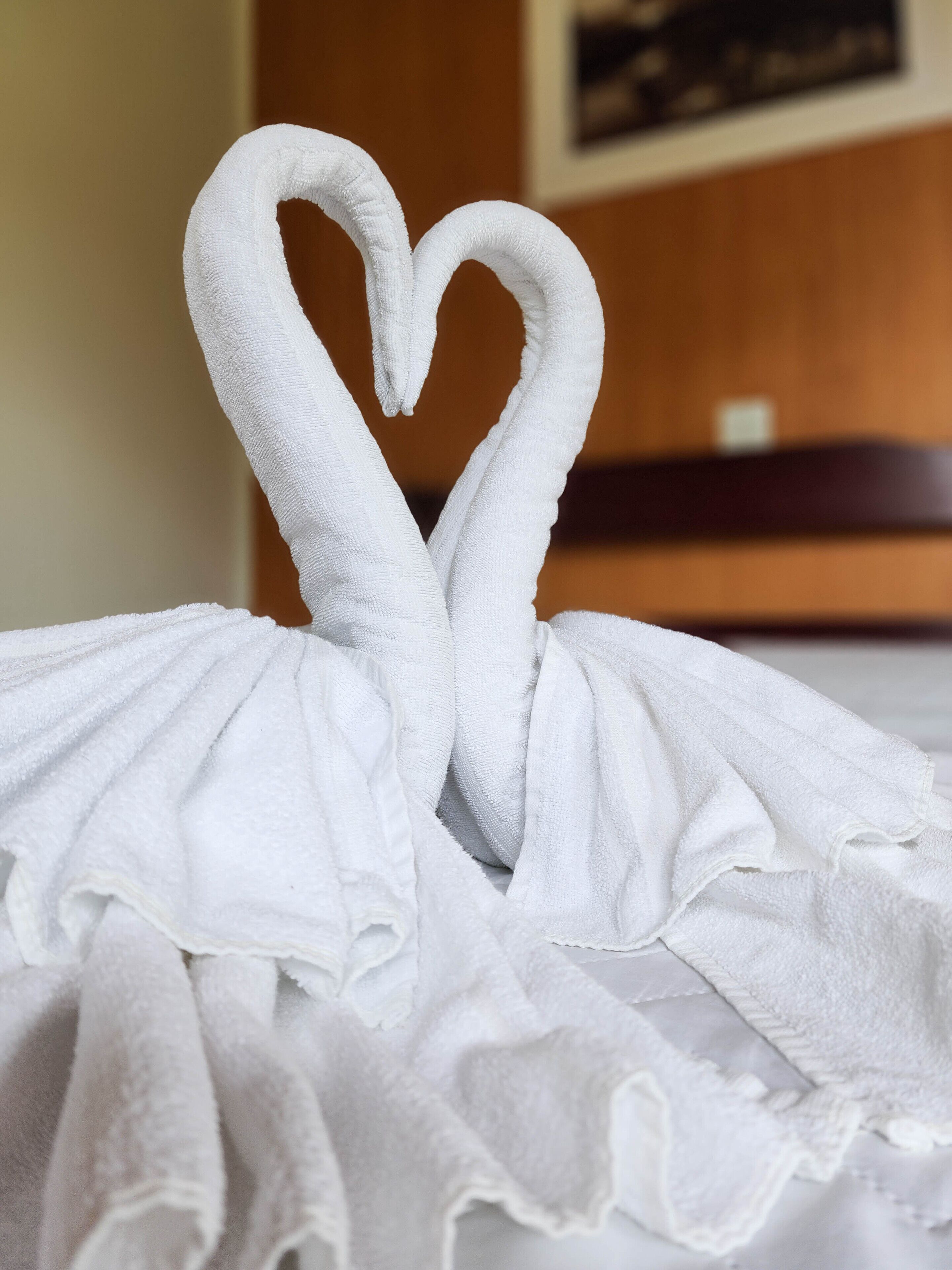 Photo - Pousada Araucária Village