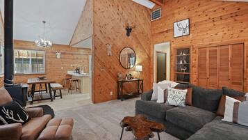 Televisio, takka, videopelejä