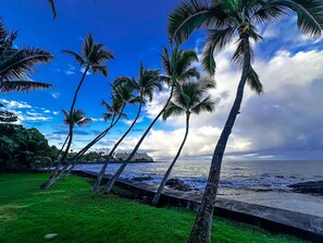 Nära stranden