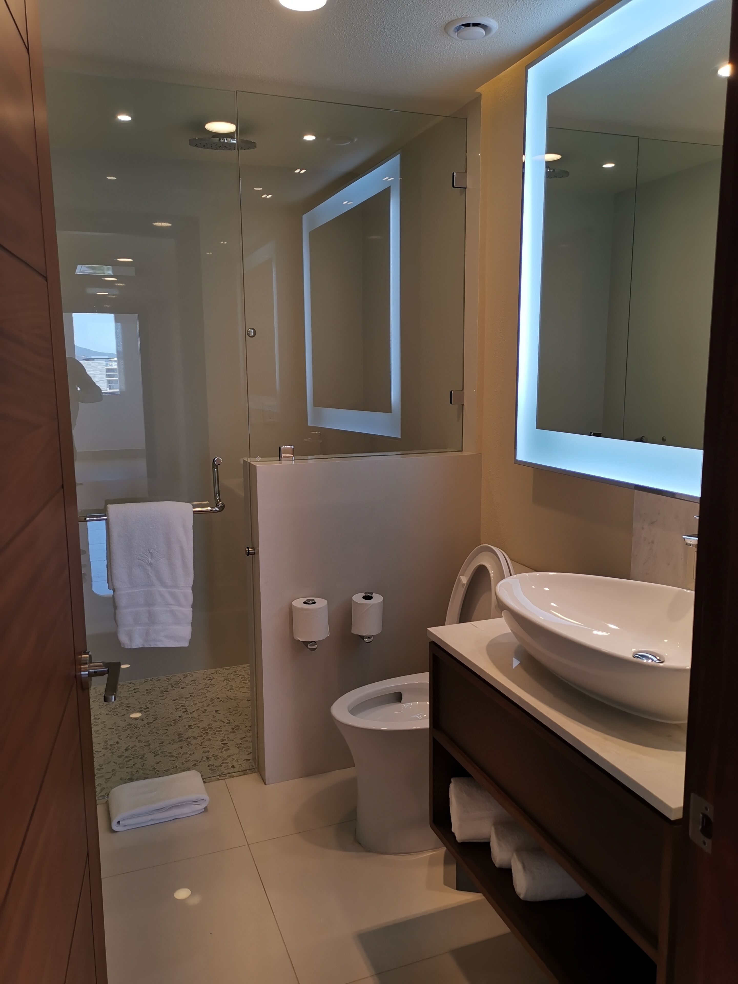 Regadera, secadora de cabello, bidet, toallas 