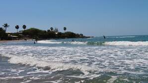 A beach with waves, palm trees, and a distant shoreline with buildings.