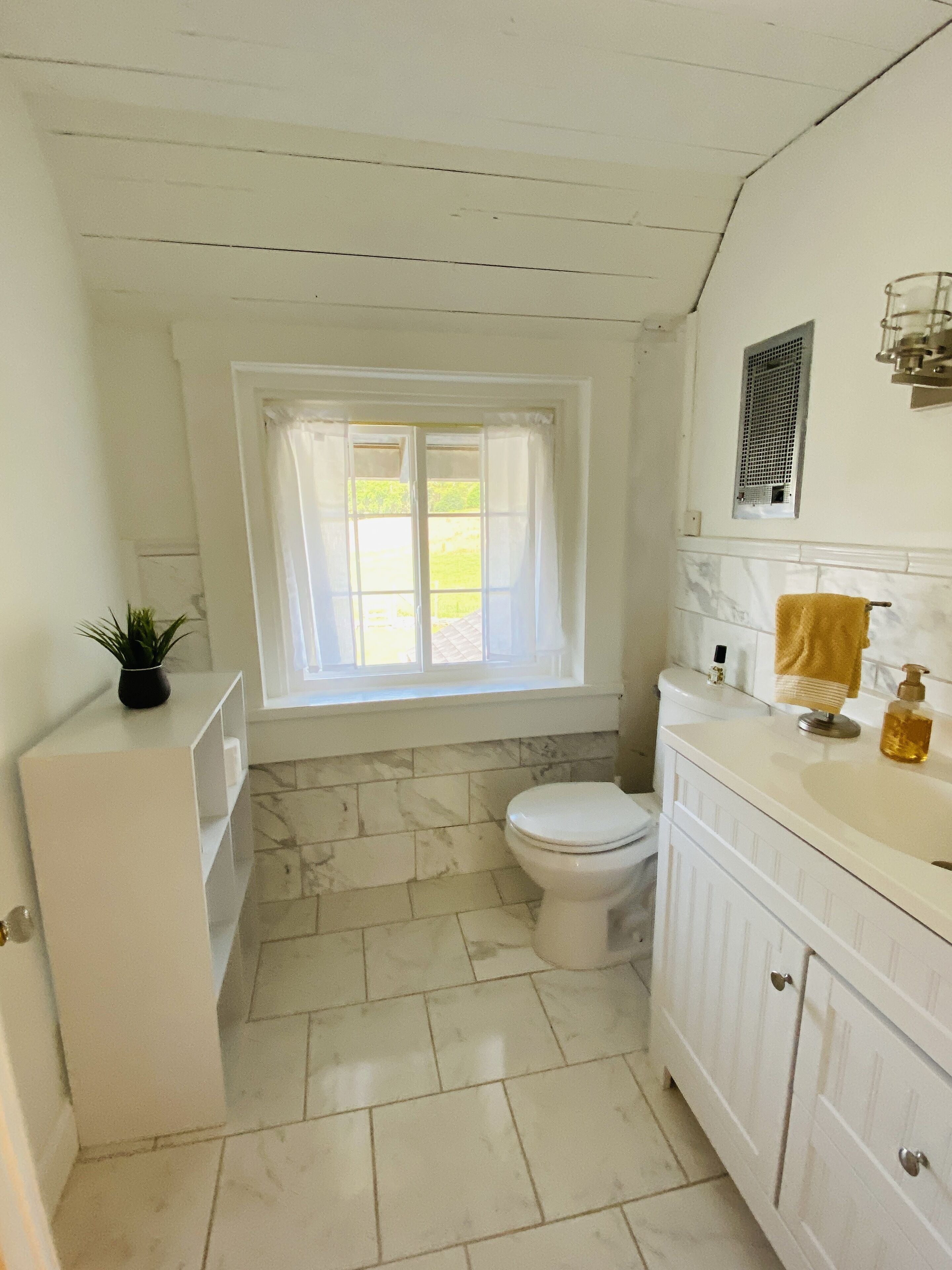 A bathroom with a toilet, a sink, a window with curtains, and a shelf with a plant.