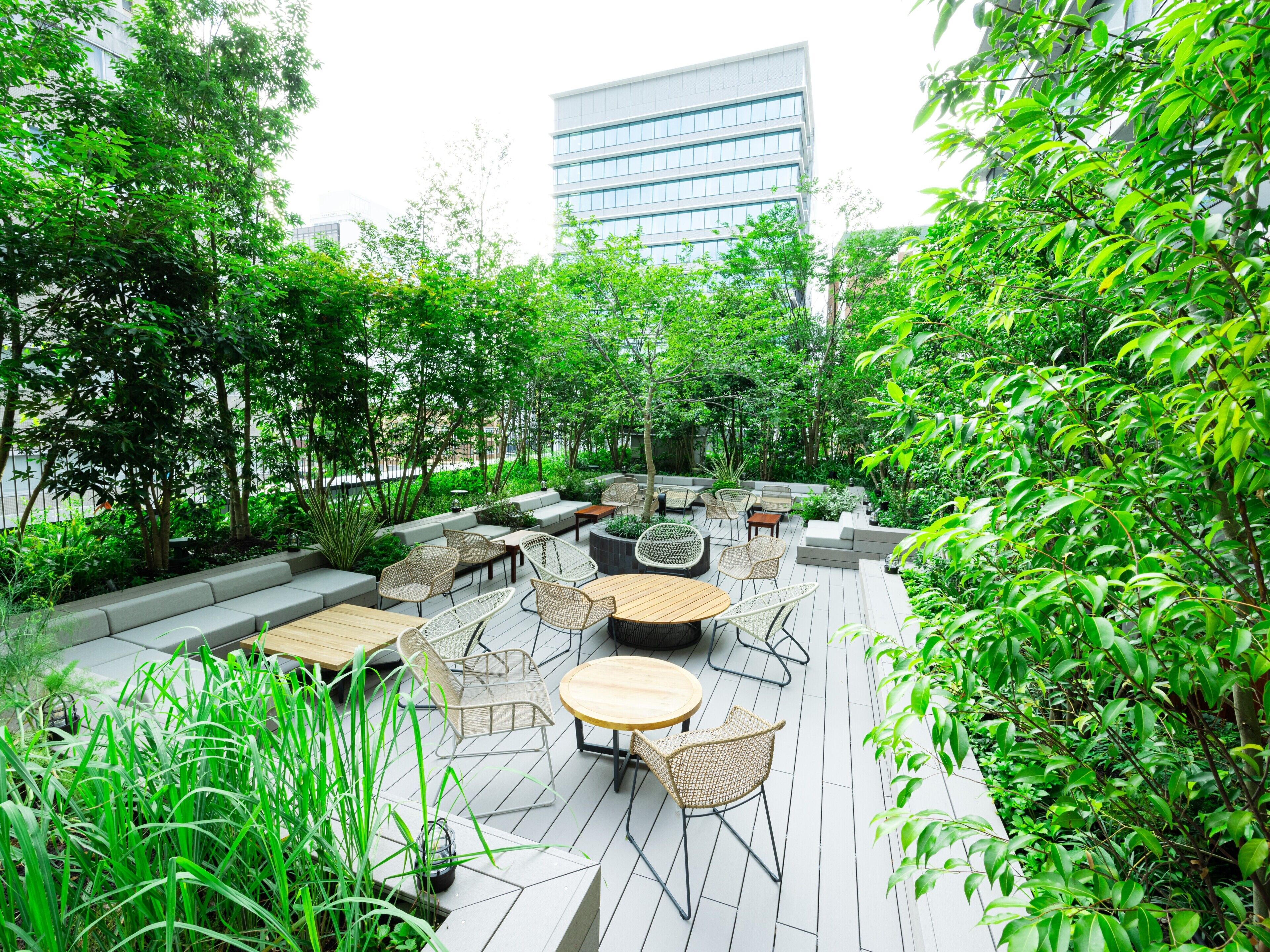 A rooftop garden with outdoor seating, including sofas and tables, surrounded by lush greenery and trees.