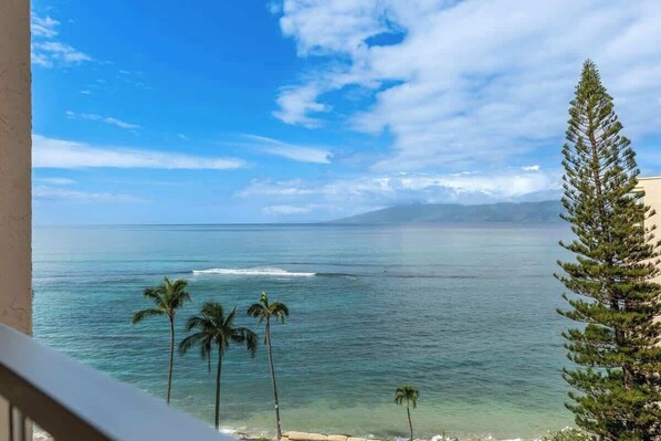 A coastal view with the ocean, palm trees, and a pine tree. - 8th floor resort studio, AC, stunning ocean views, walkable area (Lahaina)