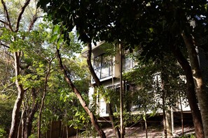 Exterior - Peaceful Sunshine Beach Retreat - Explore Noosa! (Sunshine Beach)