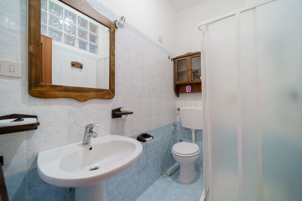 A bathroom with a white sink, a toilet, and a shower.