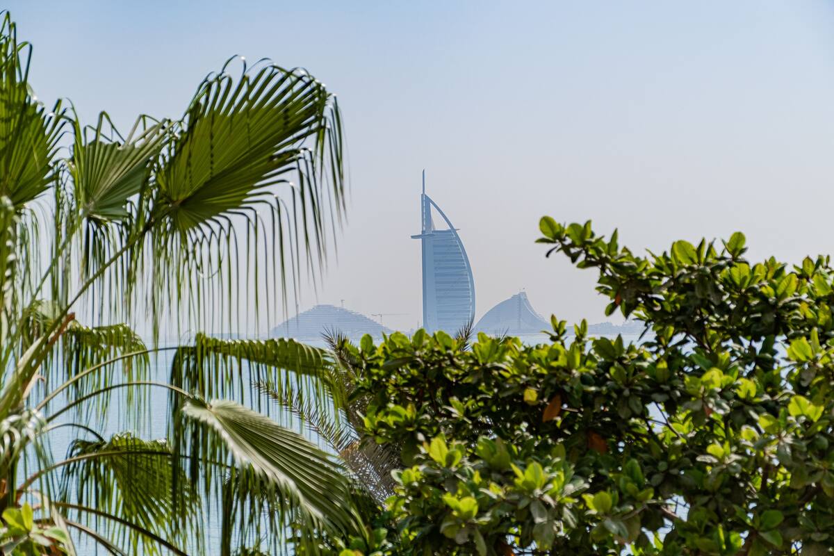 A view of a modern building with a sail-like structure, surrounded by lush greenery.