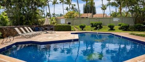 屋外プール、温水プール