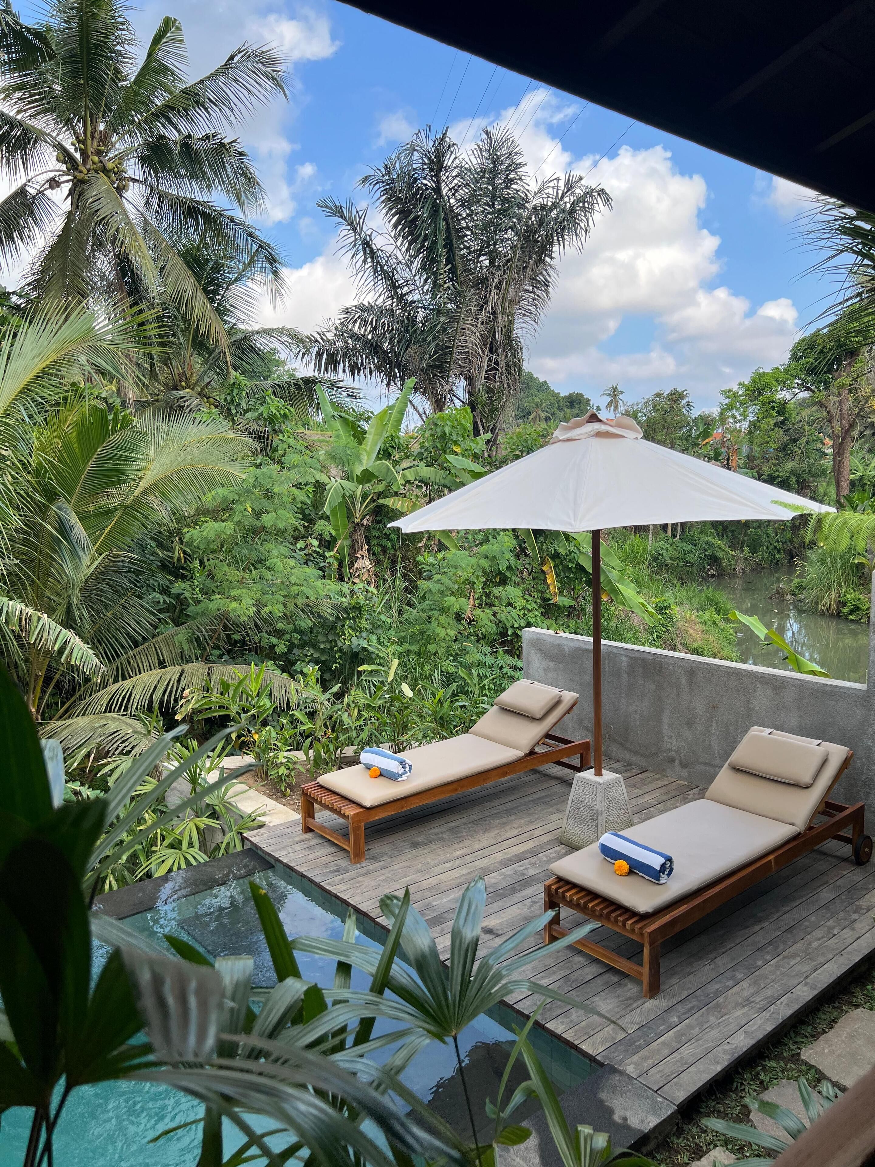 A poolside area with two lounge chairs, a white umbrella, and lush greenery.