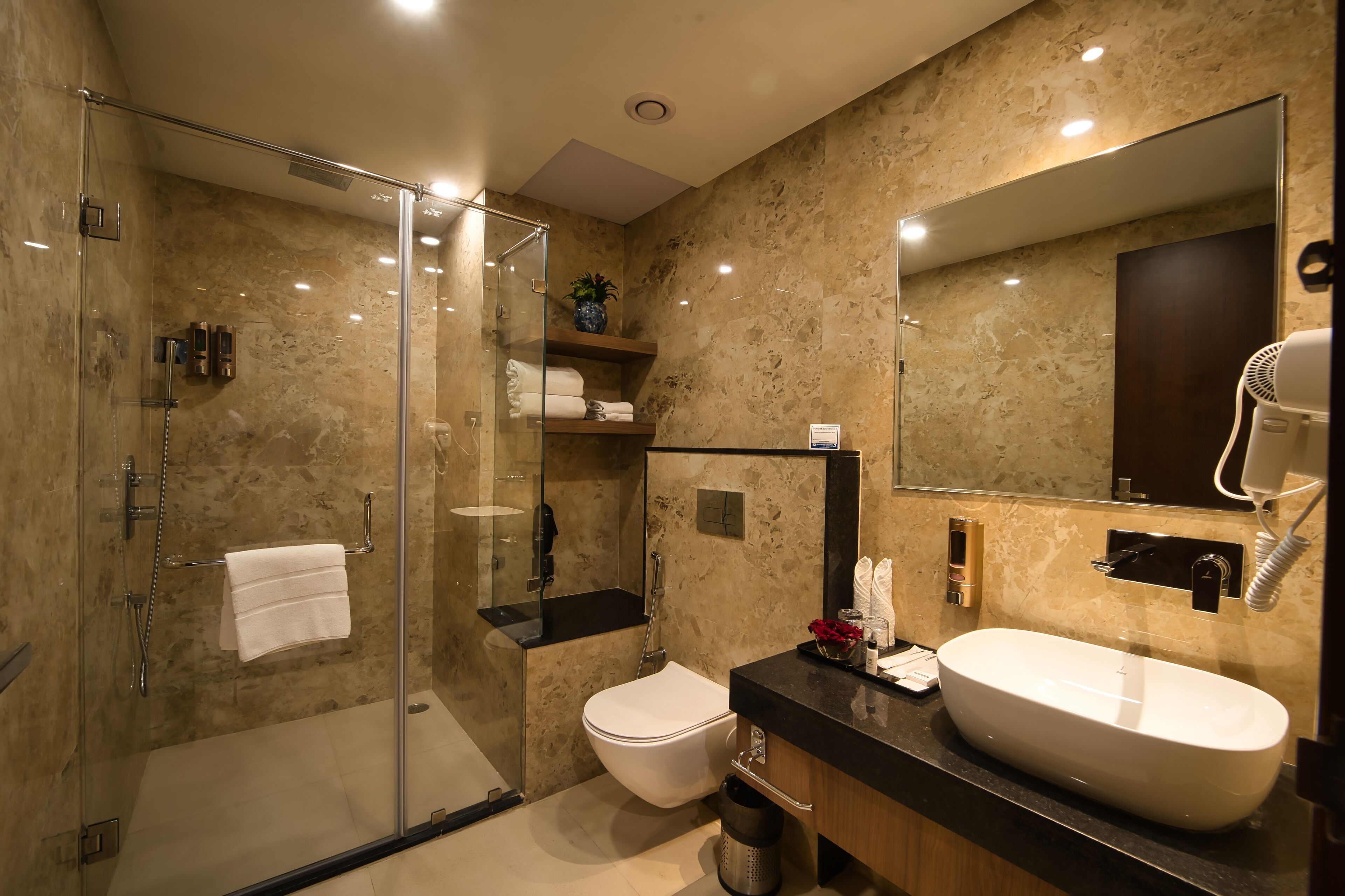 A modern bathroom with a glass-enclosed shower, a white toilet, a large sink, and a mirror.