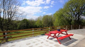 Terrace/patio - Lough Mask Fishing Cottage (Neale)