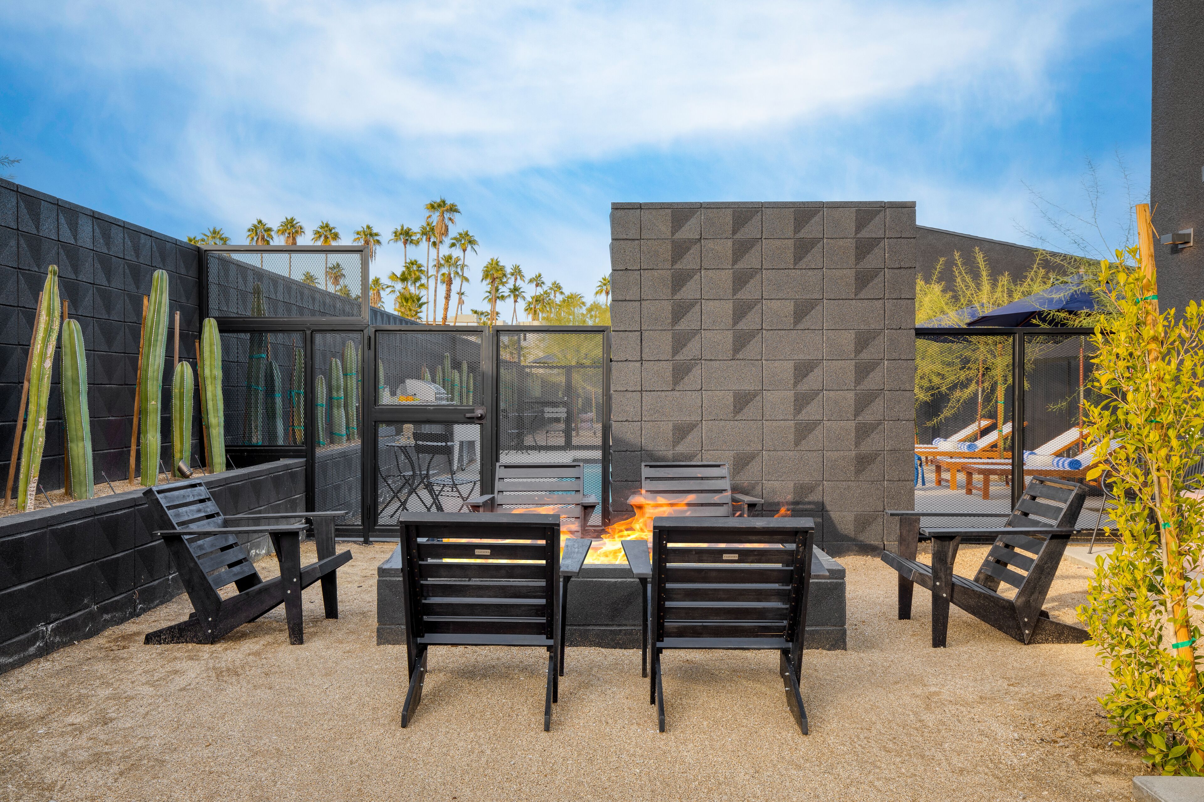 An outdoor patio with a fire pit, black metal chairs, and a cactus garden.