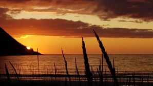 Un coucher de soleil sur une étendue d’eau, avec une végétation se découpant en silhouette au premier plan.