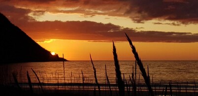 Elvestua house in nature