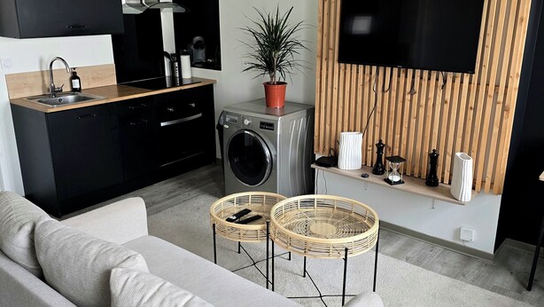 Un salon moderne avec un canapé gris, un lave-linge, un téléviseur fixé à un mur en bois et une petite table sur laquelle est posée une plante.