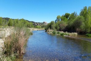 Ein Fluss fließt durch eine natürliche Landschaft mit Bäumen und einem entfernteren Dorf.