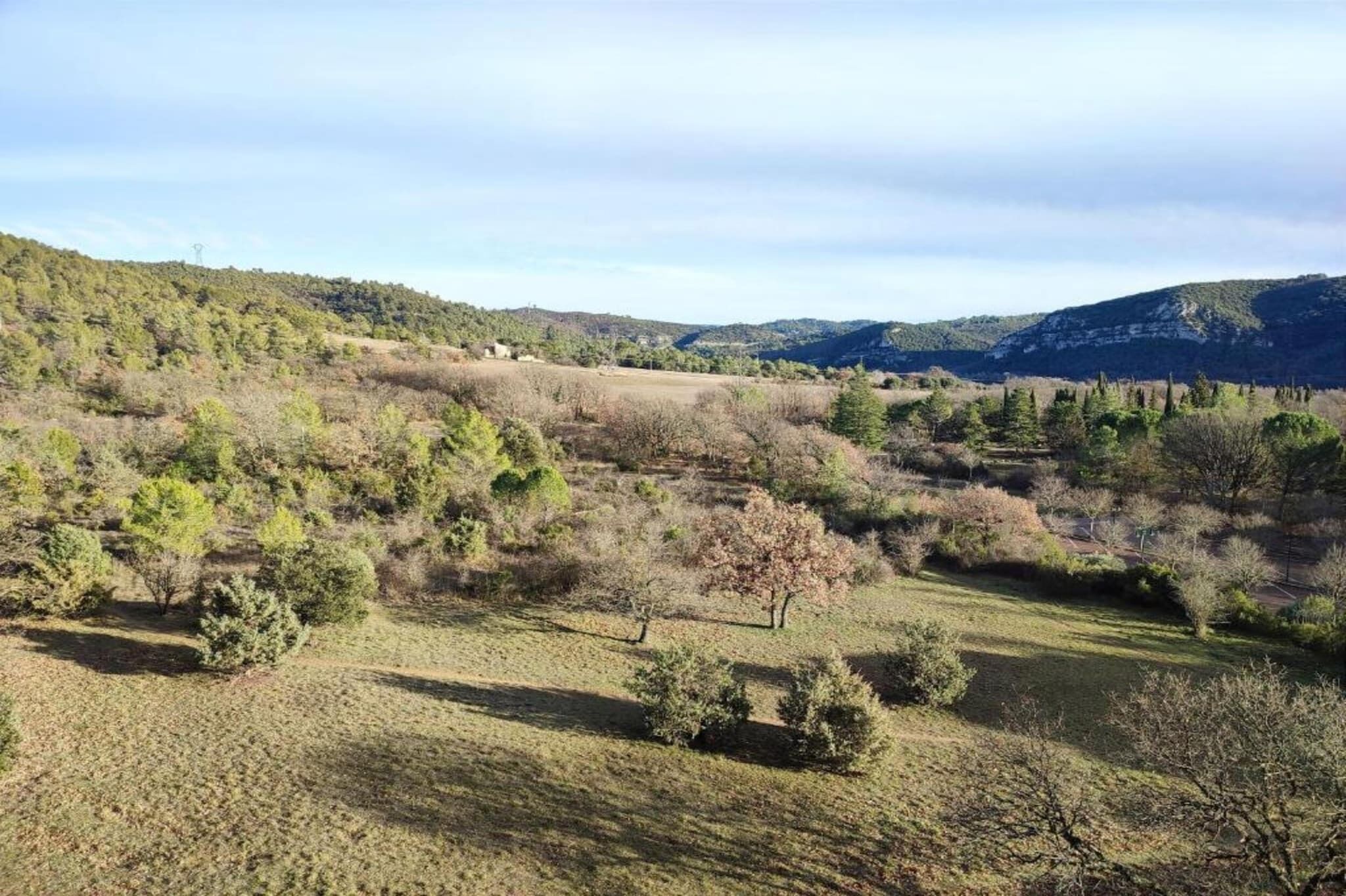 Eine natürliche Landschaft mit Hügeln, Bäumen und blauem Himmel.