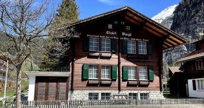 "tiefparterre" - 3 1/2 Zimmer-ferienwohnung - im "chalet Baergli"