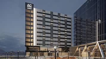 Suite, 1 Bedroom, City View | 1 bedroom, desk, laptop workspace, rollaway beds