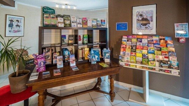 Un área de recepción con un escritorio de madera que exhibe varios libros y revistas, una planta en maceta y una pared con cuadros y un cartel.