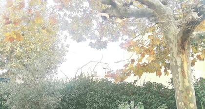 Maison à 15 Minutes des Plages