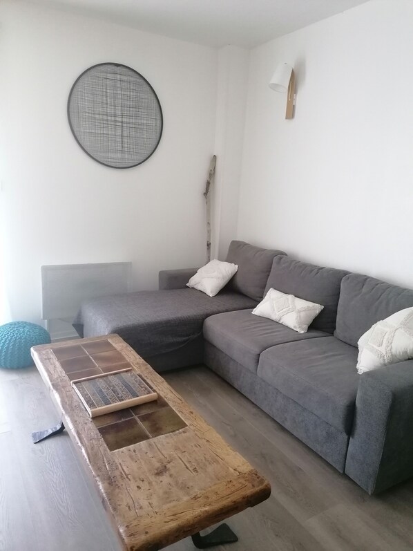 TV, DVD player, books