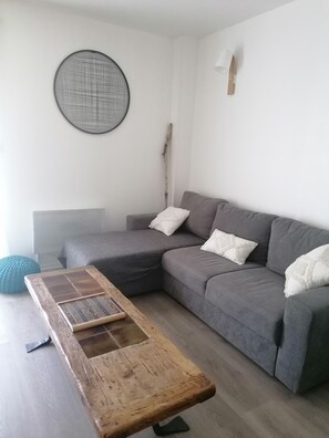 Télévision, lecteur de DVD, livres