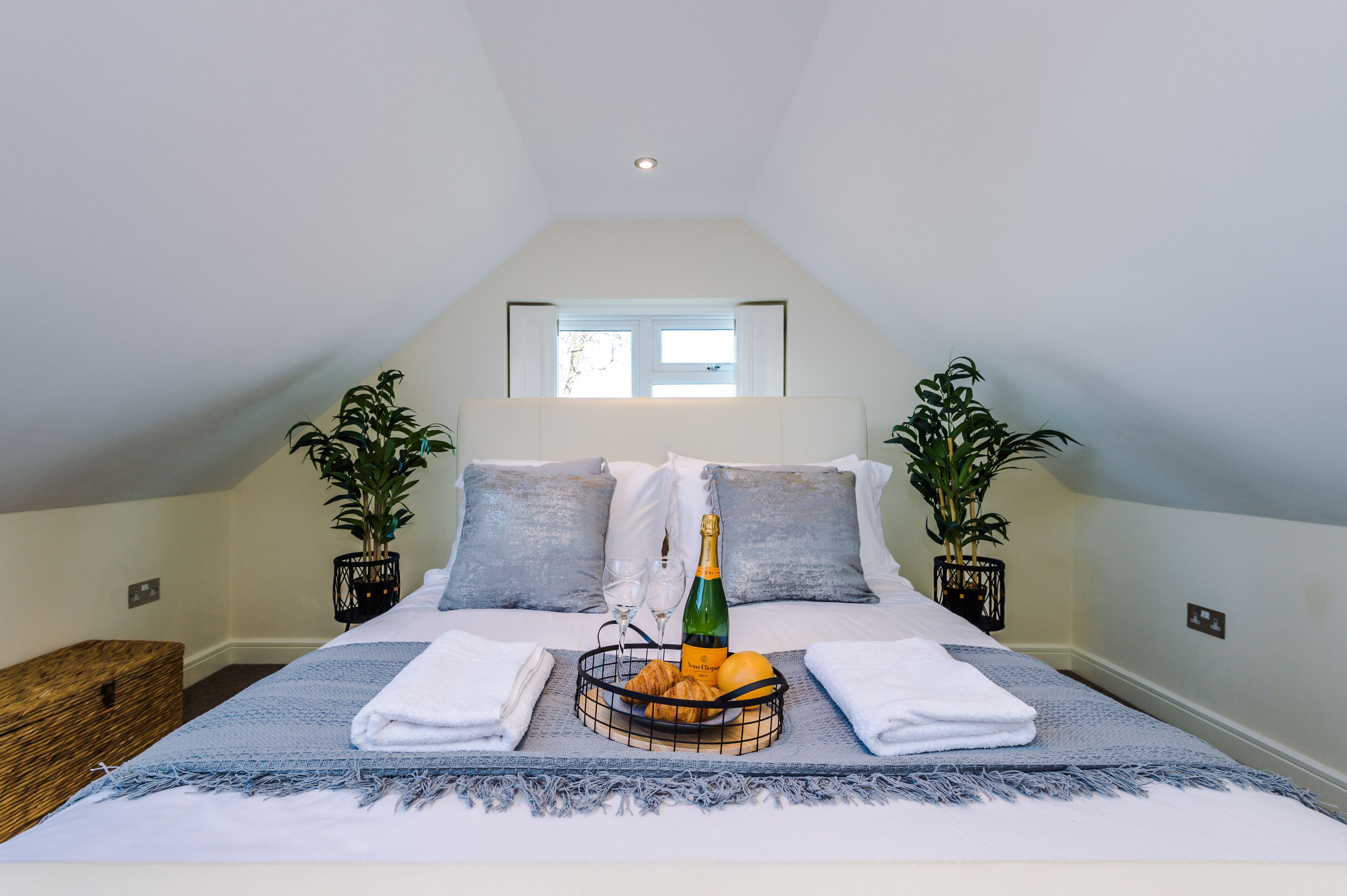 Vista desde la habitación