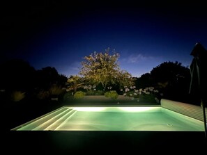 A swimming pool at night with surrounding plants and trees.