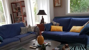 电视、壁炉、DVD 播放器、书
