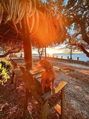Property grounds - Waterfront Home in Corolla | Sleeps 12 | Private Pool Hot Tub | Dog-Friendly (Corolla)