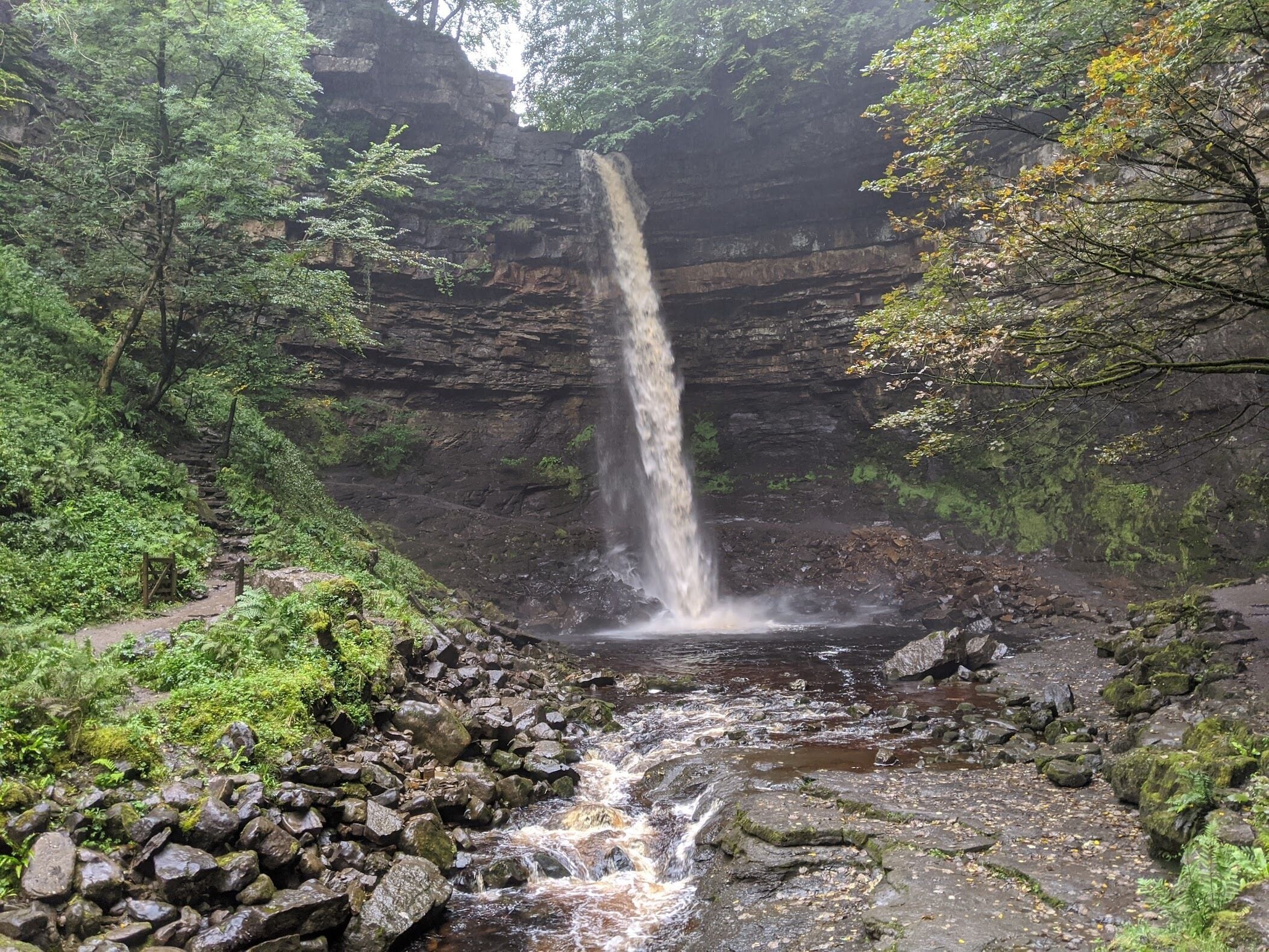 A waterfall in a forested area with a rocky stream at the base.