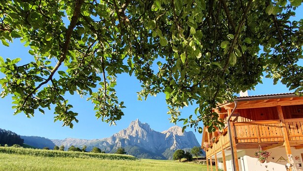 Eine Holzhütte mit Bergblick, Sitzgelegenheiten im Freien und einem Garten.