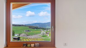 Ein Fenster mit Blick auf eine grüne Landschaft, ein hölzerner Fensterrahmen und eine Steckdose an der Wand.