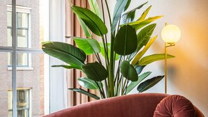 A modern room with a red sofa, a large green plant, and a floor lamp. - Hotel Halbert (Groningen)