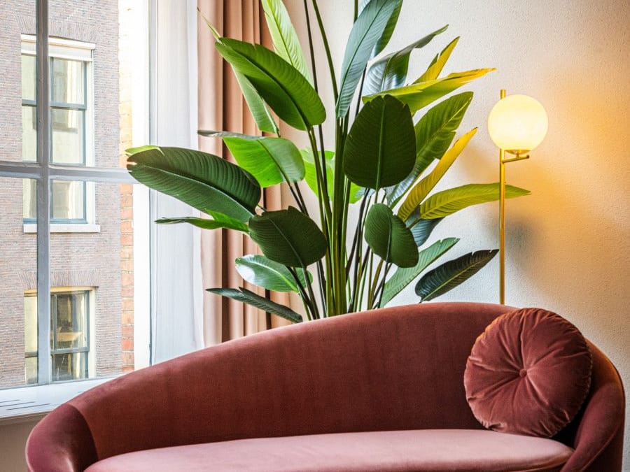 A room with a red sofa, a large green plant, a floor lamp, and a window with a view of a brick building.
